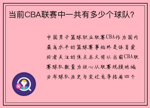 当前CBA联赛中一共有多少个球队？